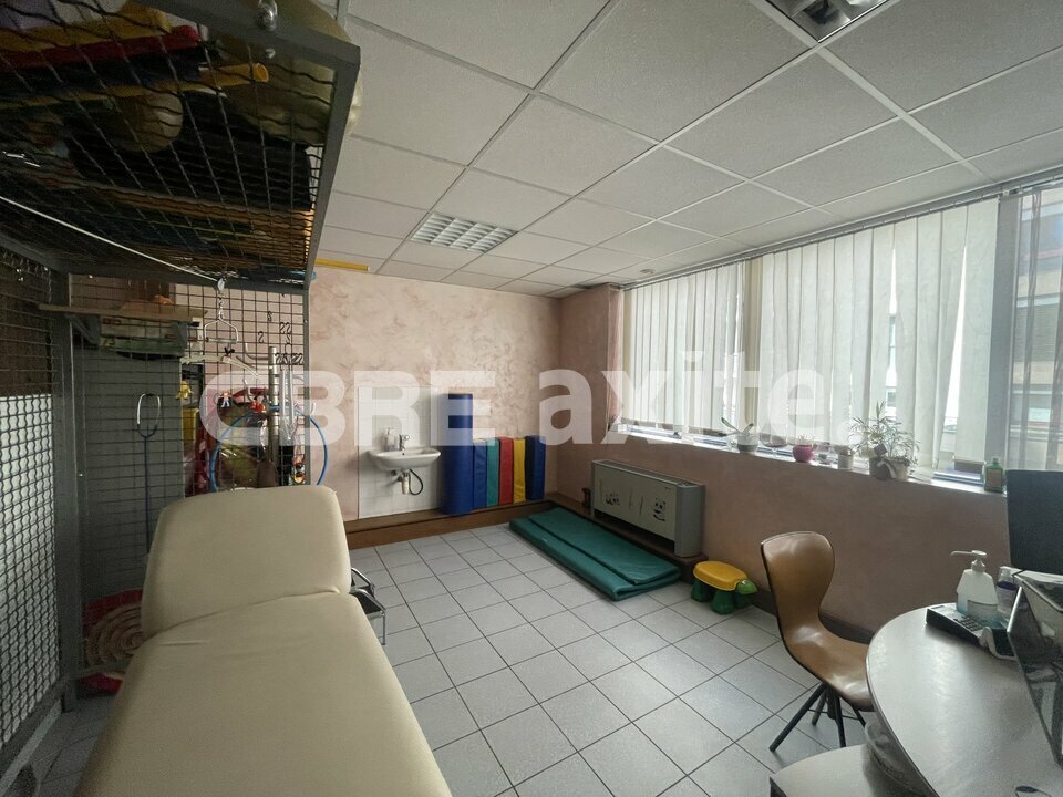 vente local-professionnel ANNEMASSE