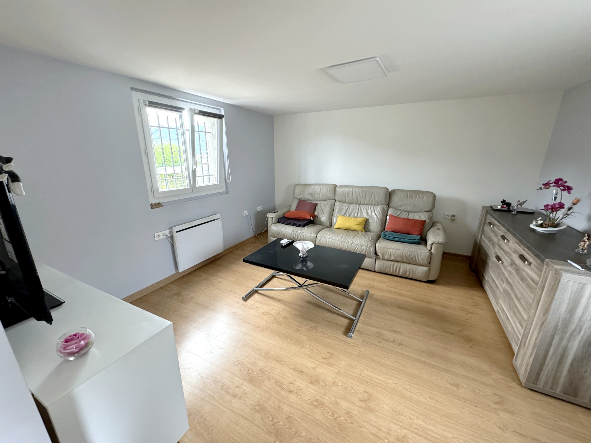 vente maison SCIONZIER