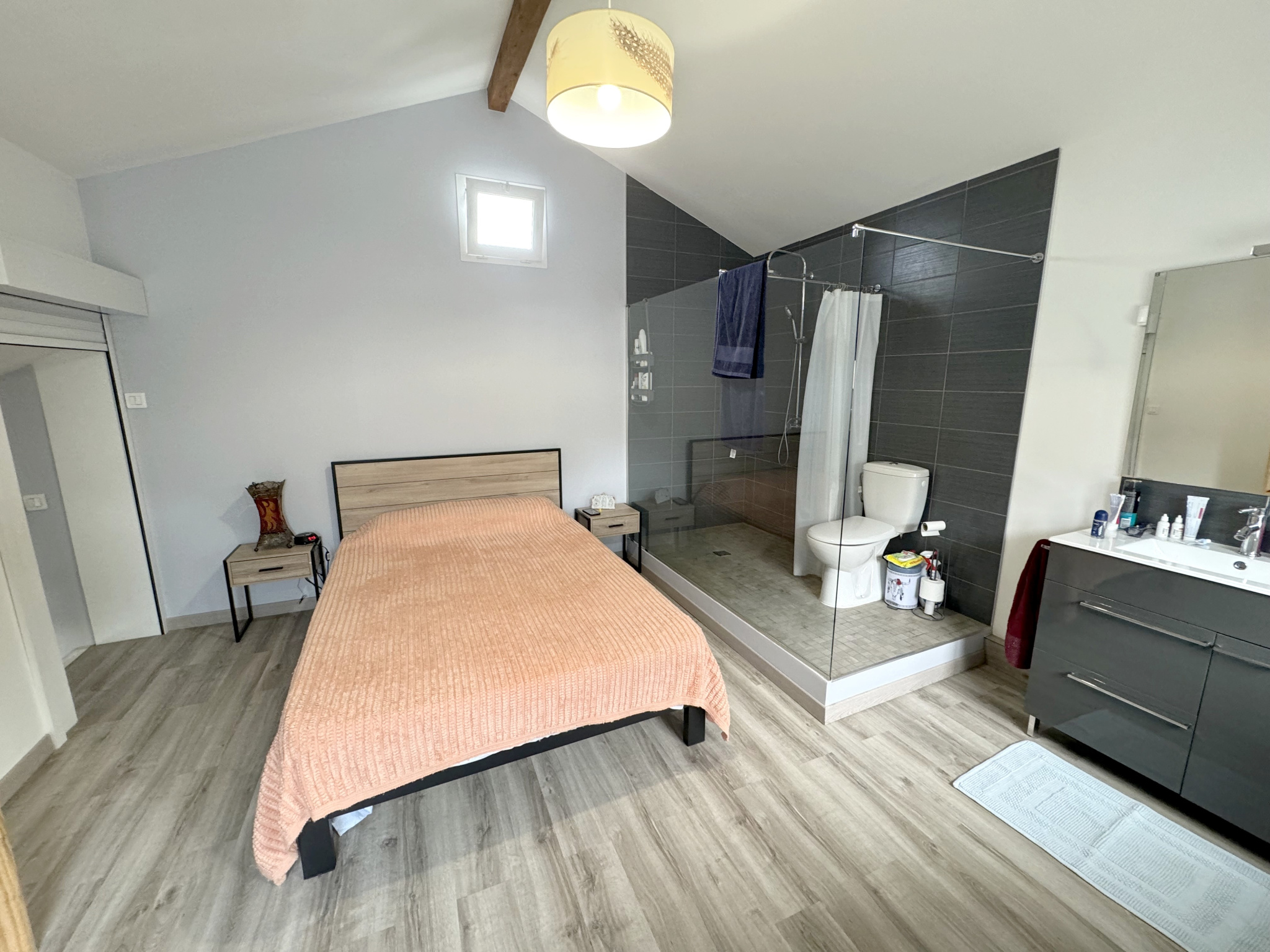 vente maison SCIONZIER