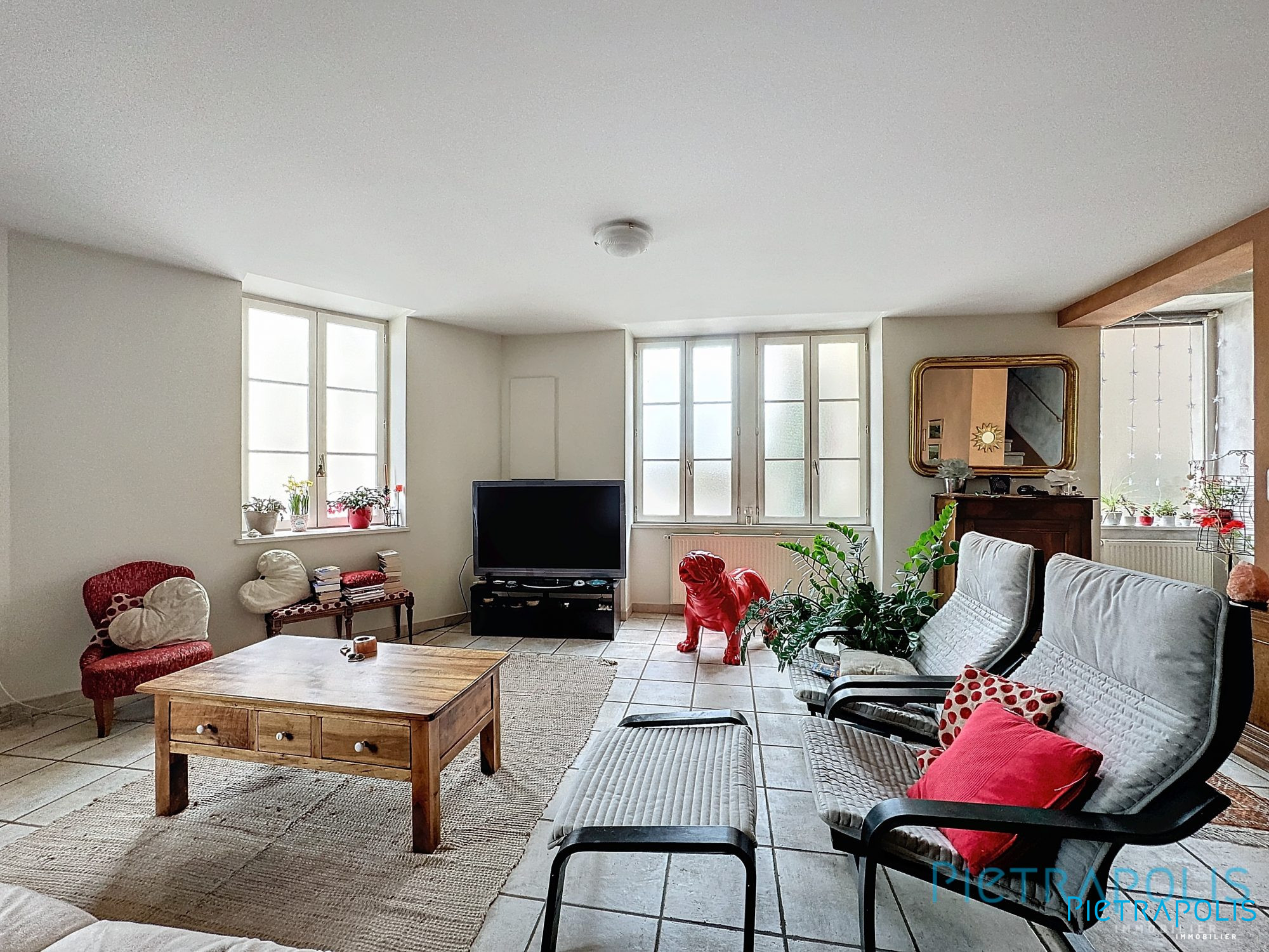 vente maison ST ETIENNE SUR CHALARONNE