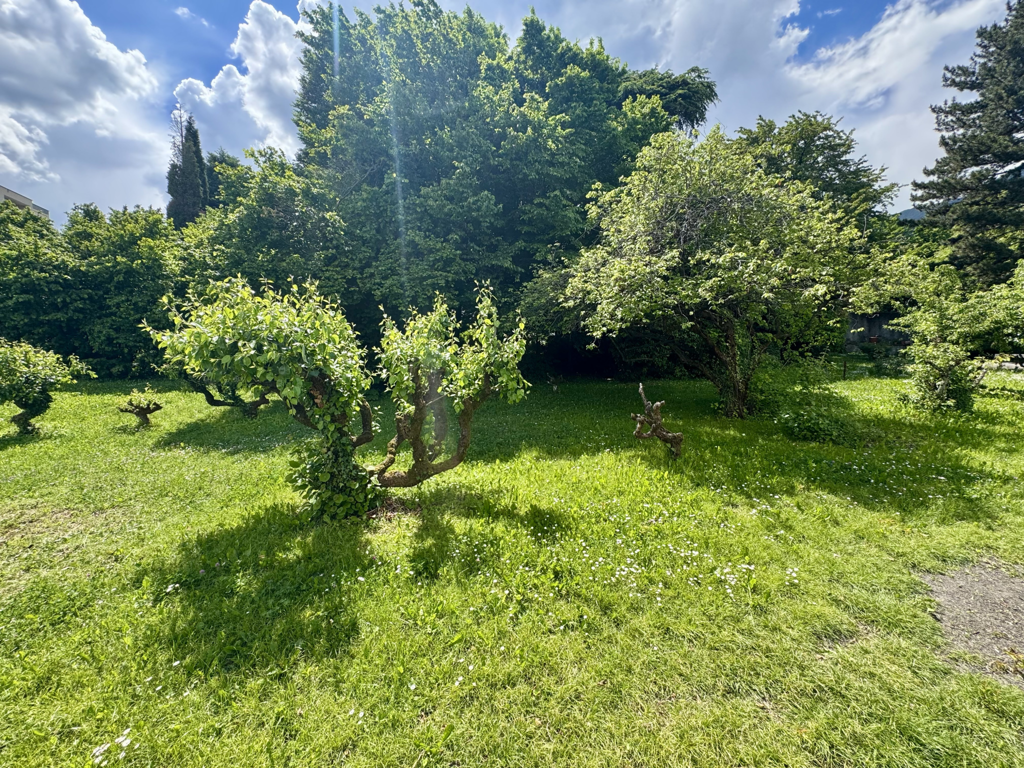 vente terrain ST JEAN DE MAURIENNE
