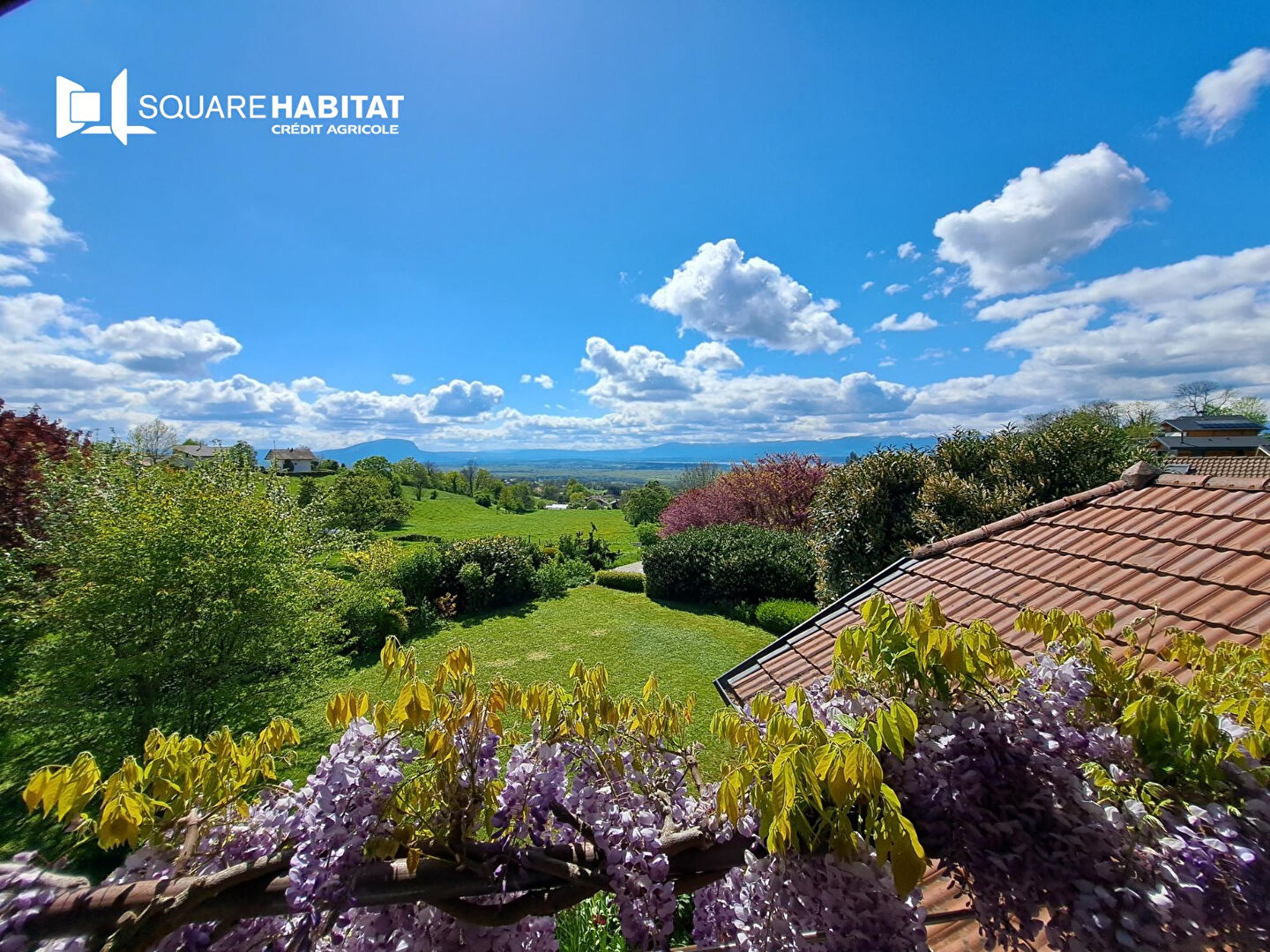 vente maison 