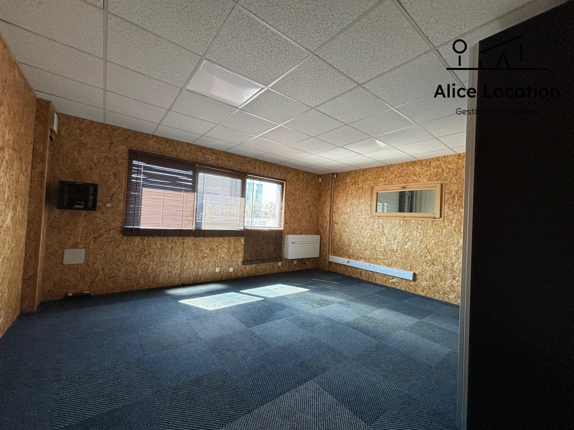 location local-commercial THONON LES BAINS