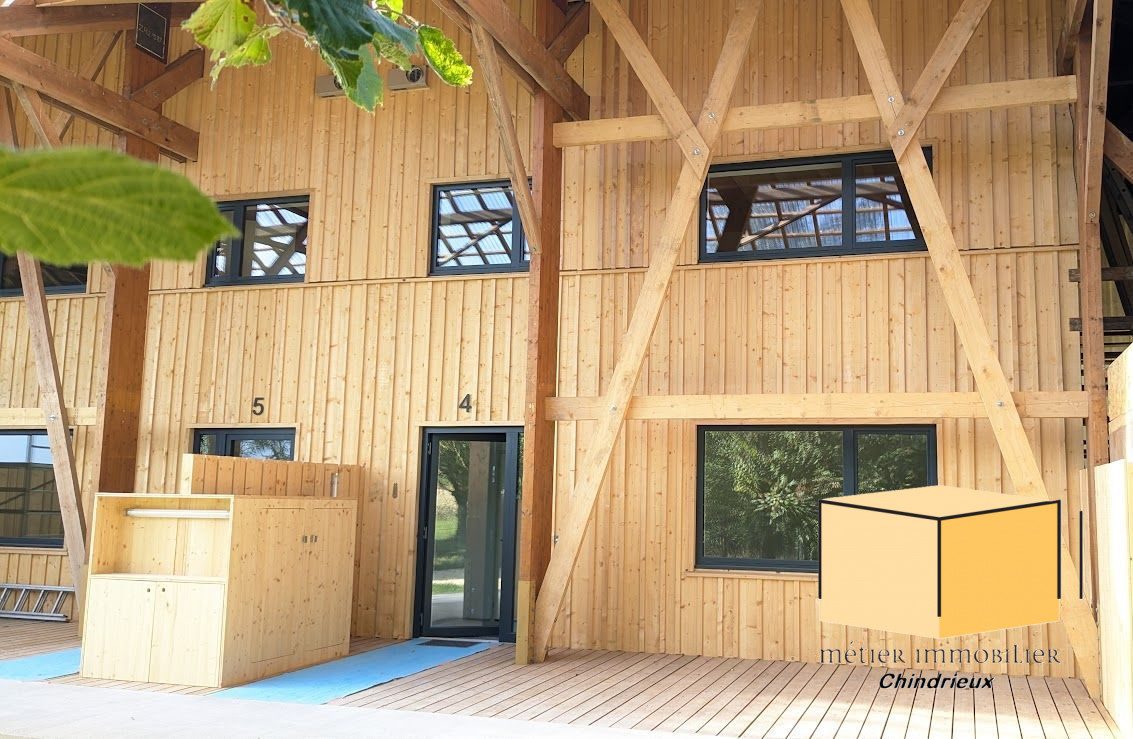 vente appartement CEYZERIEU