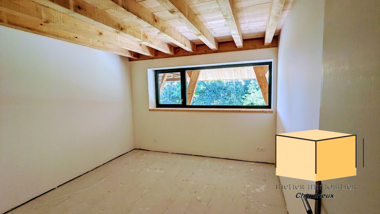 vente appartement CEYZERIEU