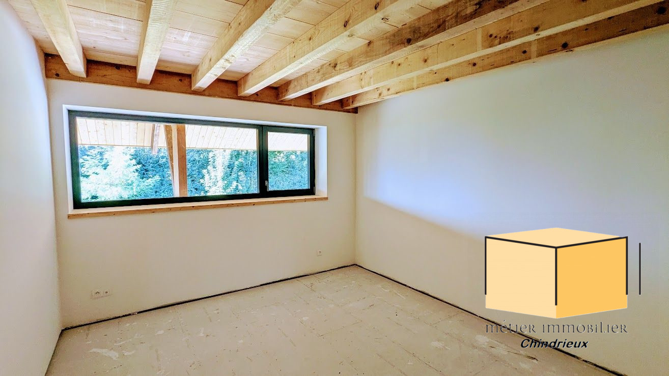 vente appartement CEYZERIEU