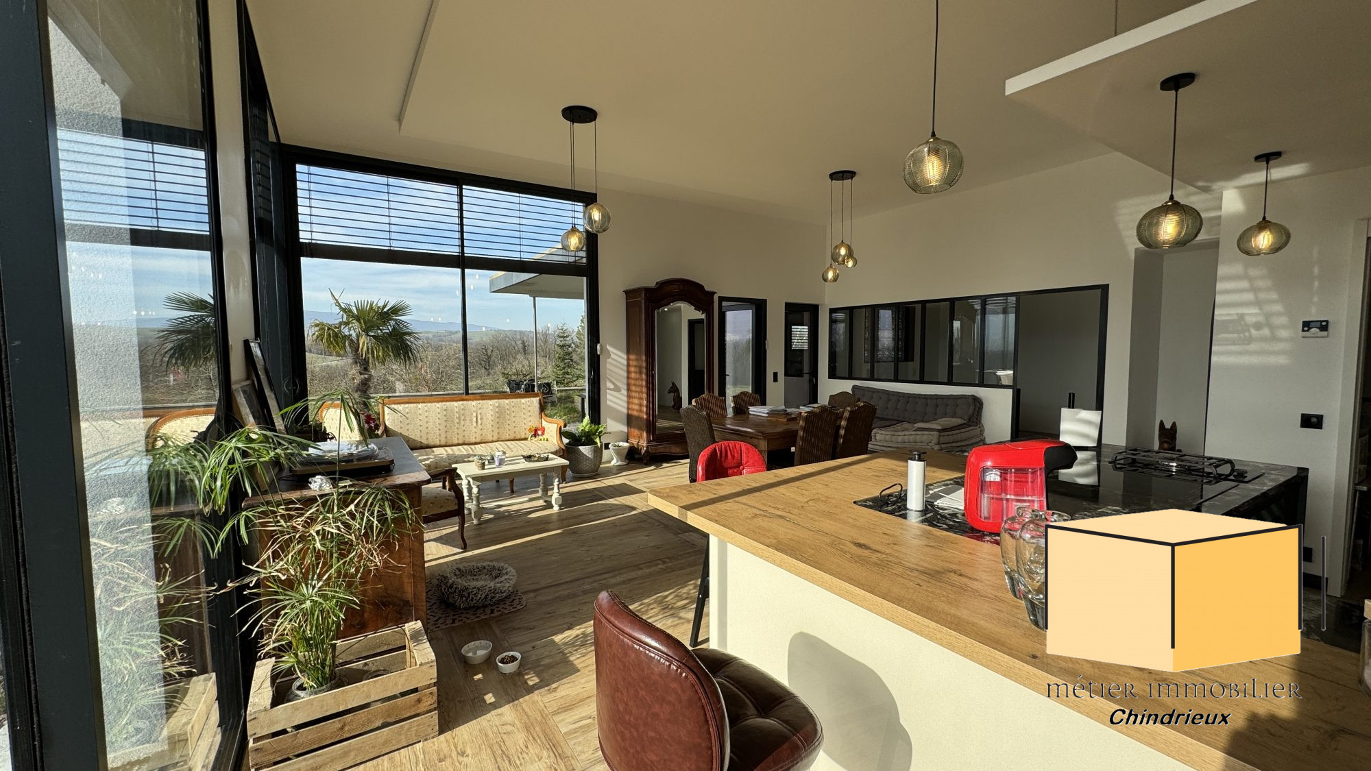 vente maison SEYSSEL