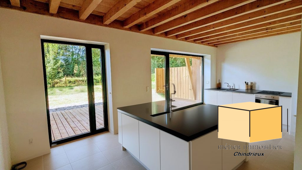 vente appartement CEYZERIEU