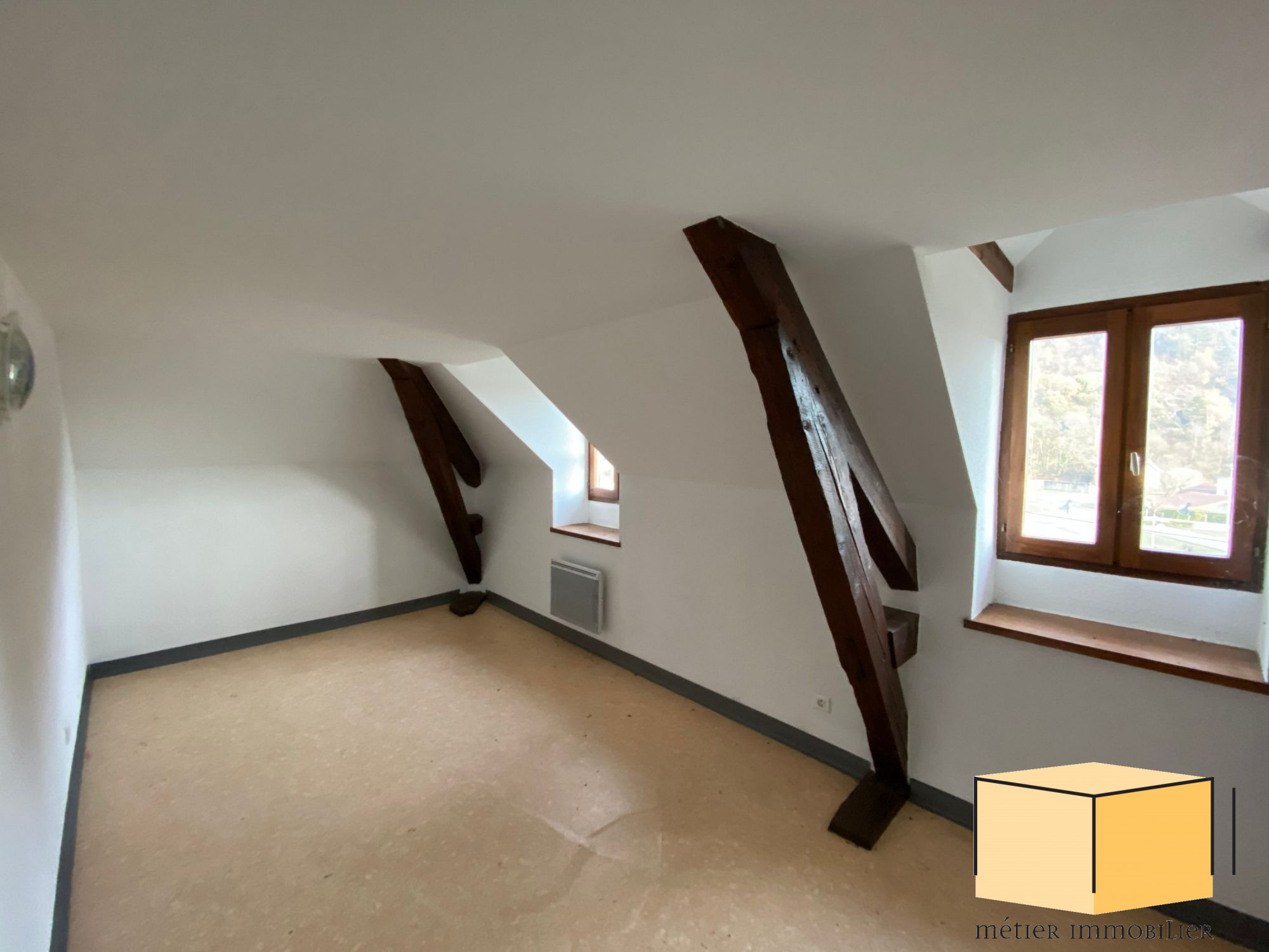vente immeuble VIRIEU LE GRAND