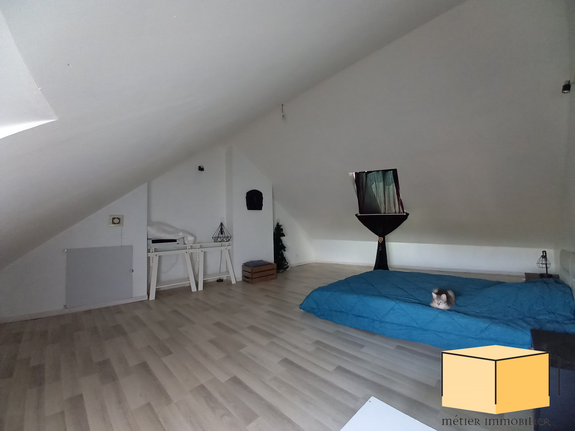 vente maison BELLEY