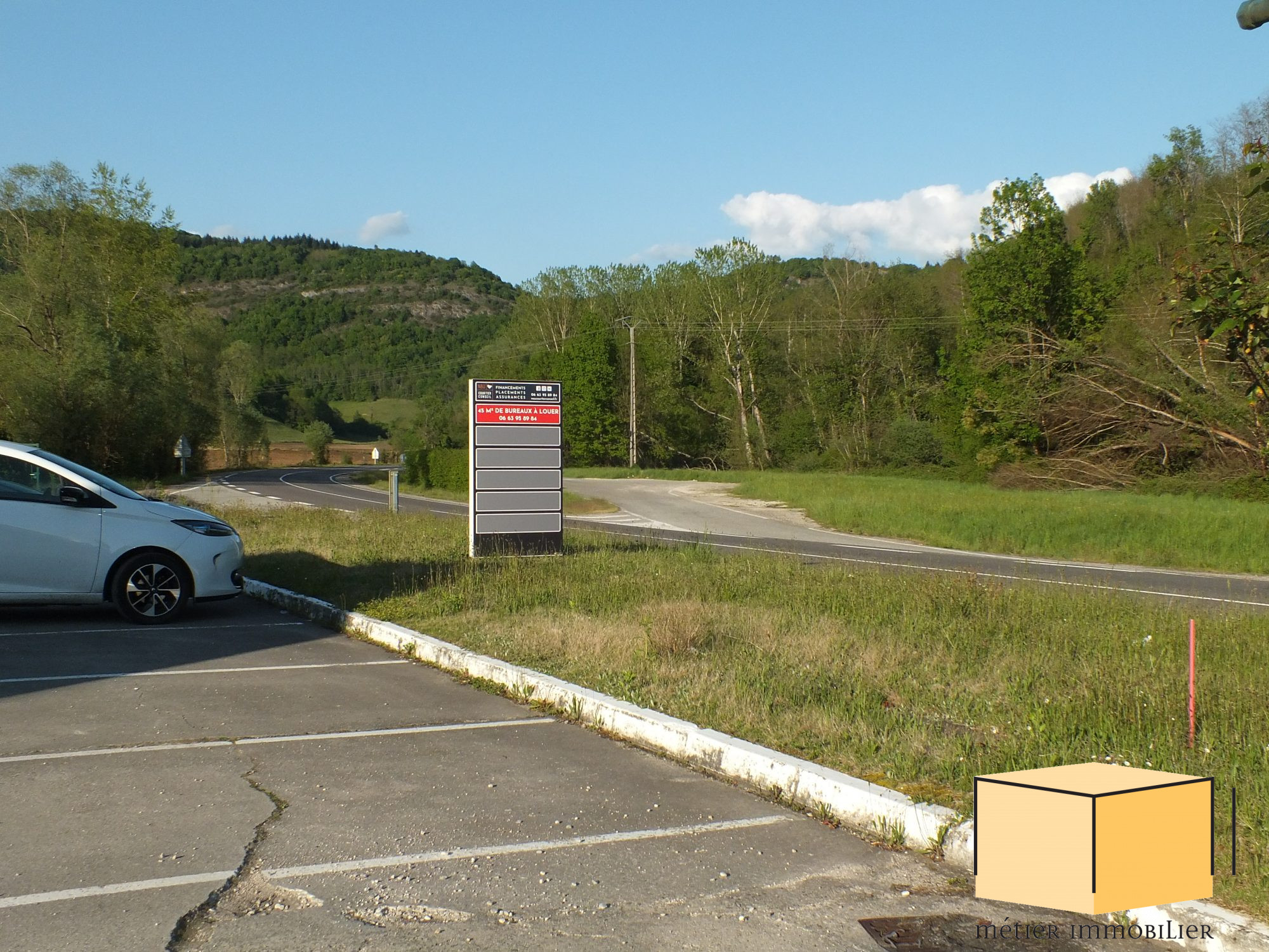 location local-professionnel CHAZEY BONS