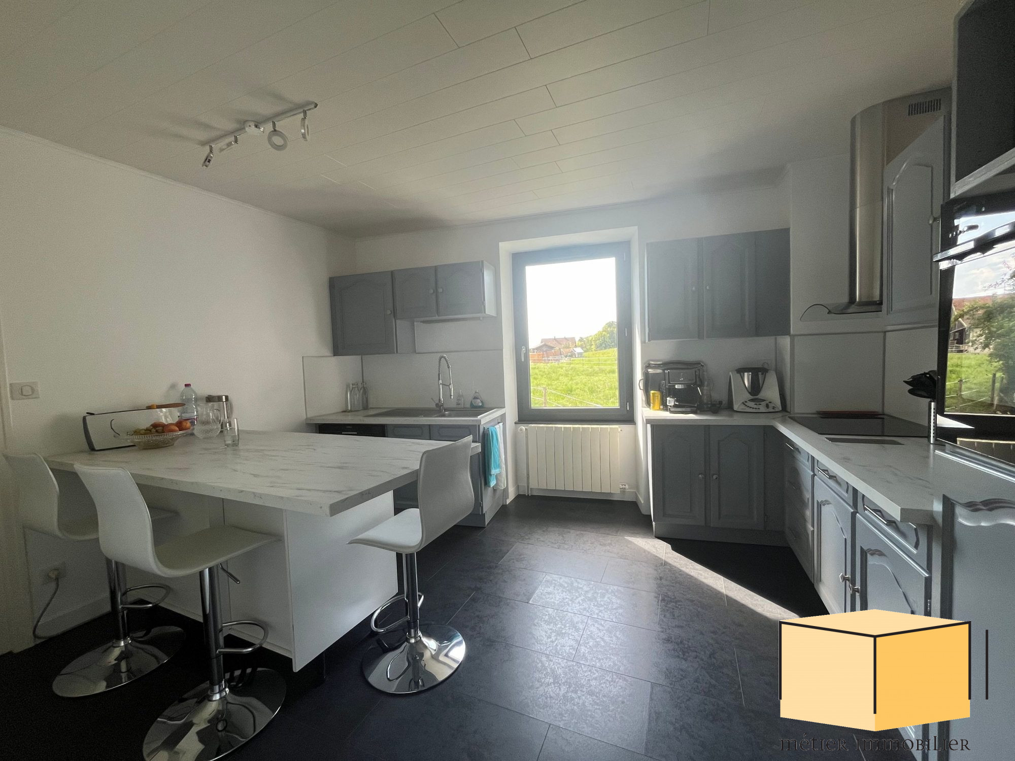 vente maison CORBONOD
