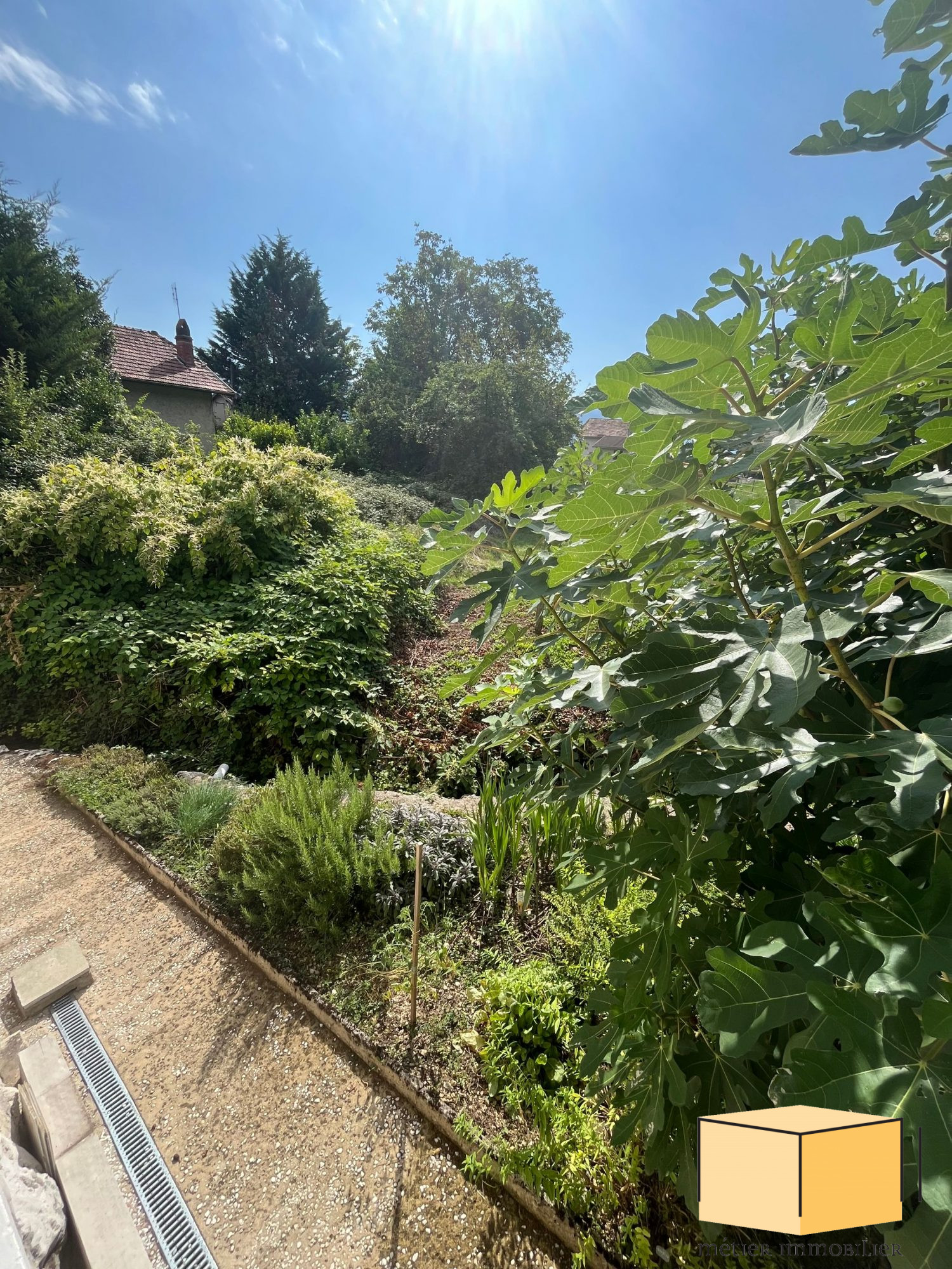 vente maison CORBONOD