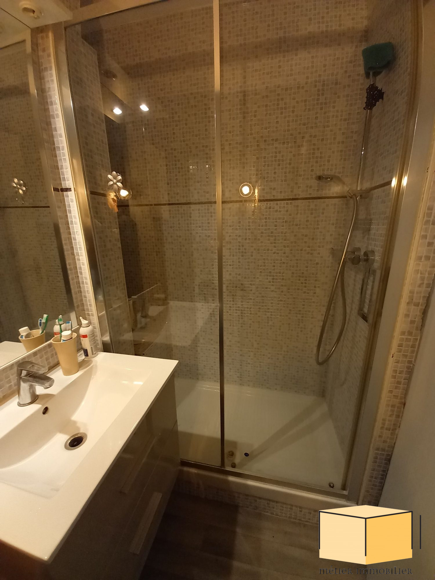 vente appartement BELLEY