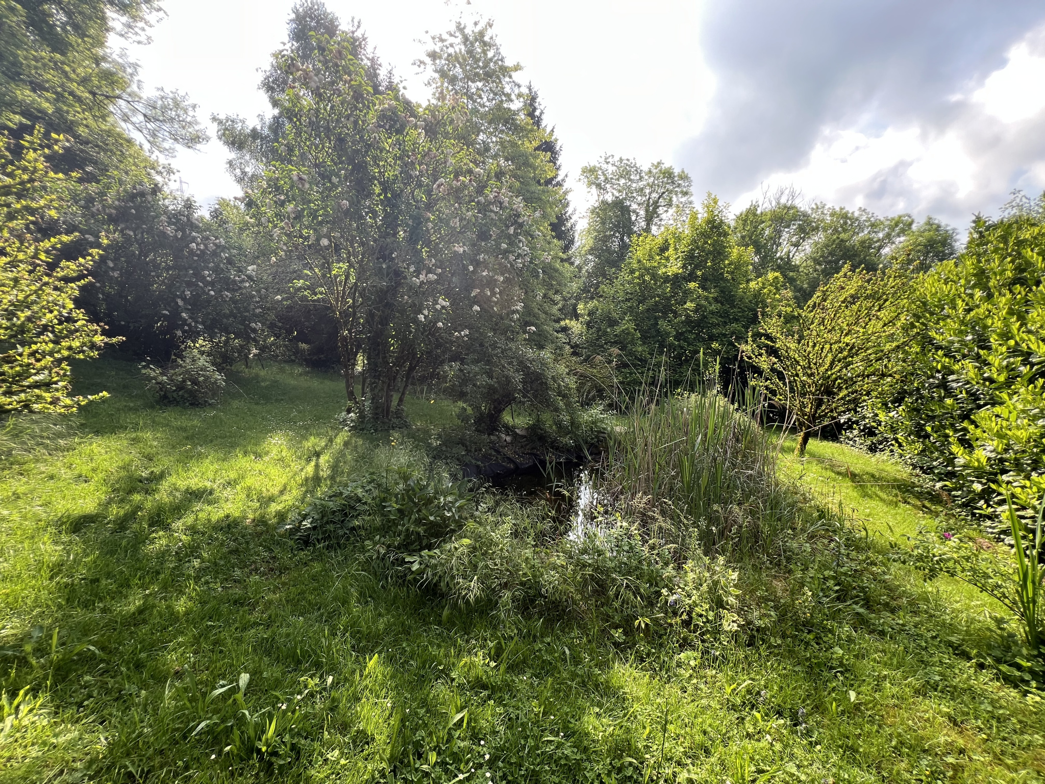 vente maison STE MARIE D ALVEY