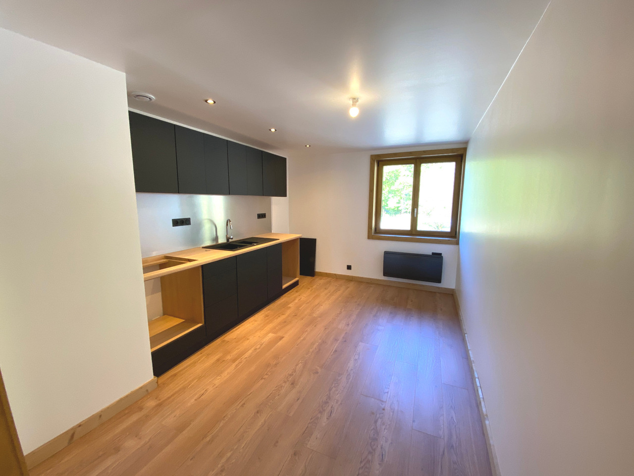 vente appartement TANINGES
