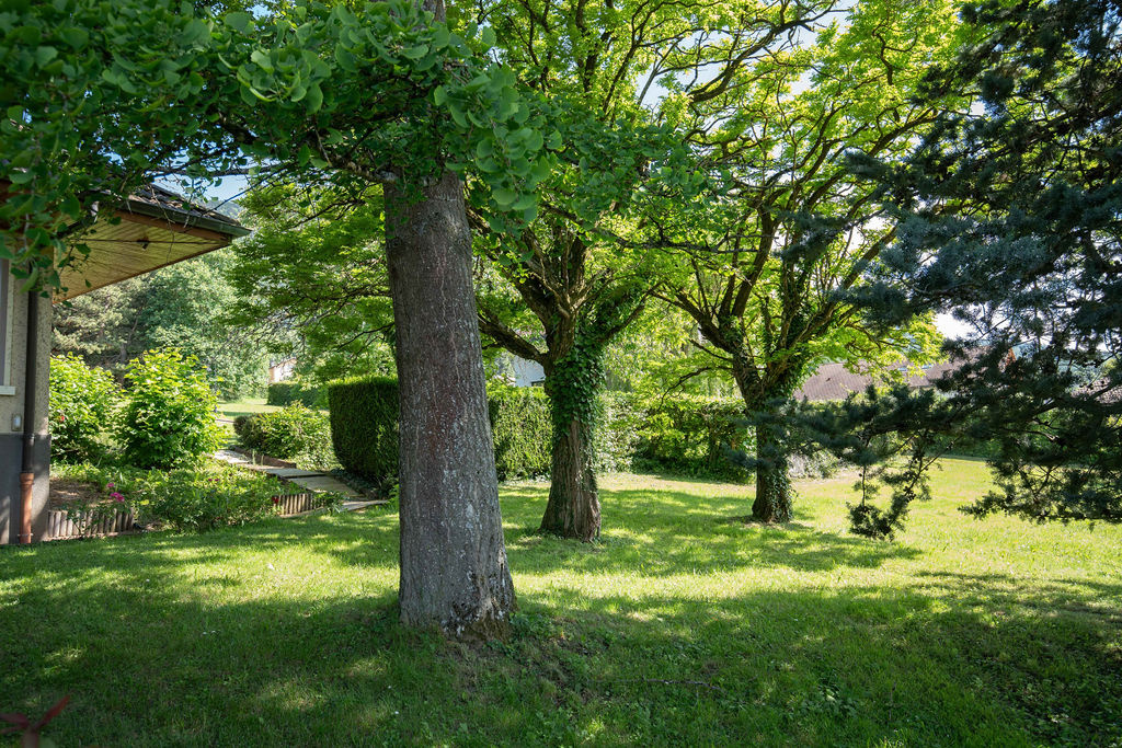 vente maison ARCHAMPS