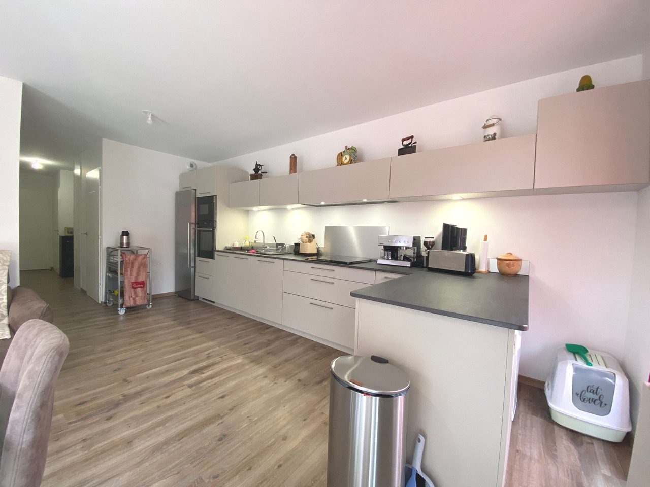 vente appartement TANINGES