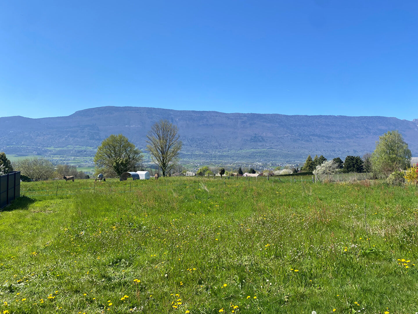 vente terrain 