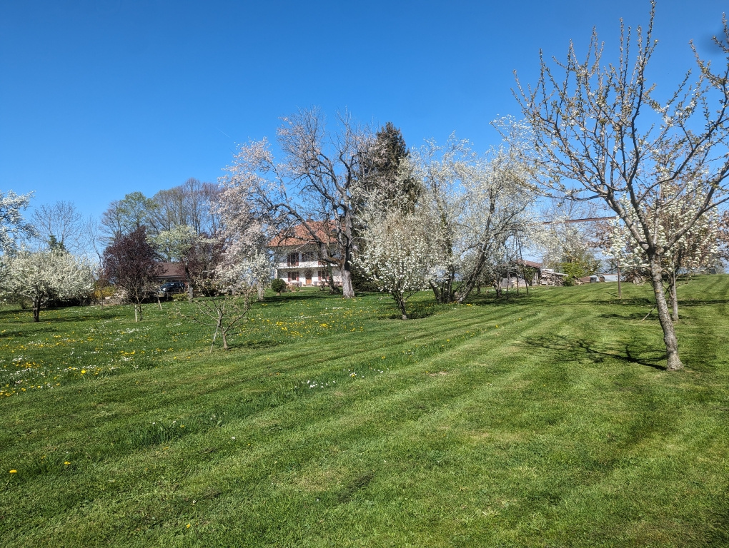 vente maison ST PAUL EN CHABLAIS