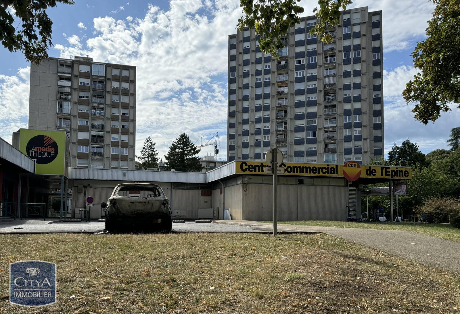 location local-professionnel COGNIN