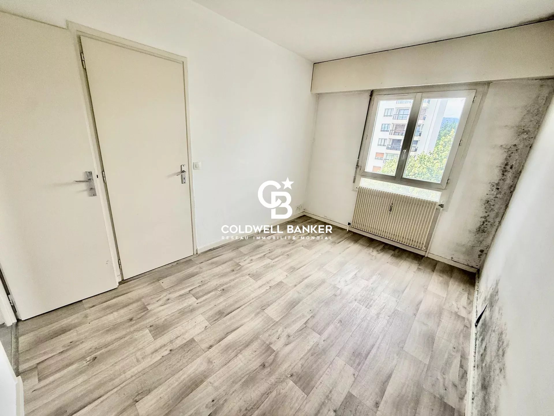 vente appartement FERNEY VOLTAIRE