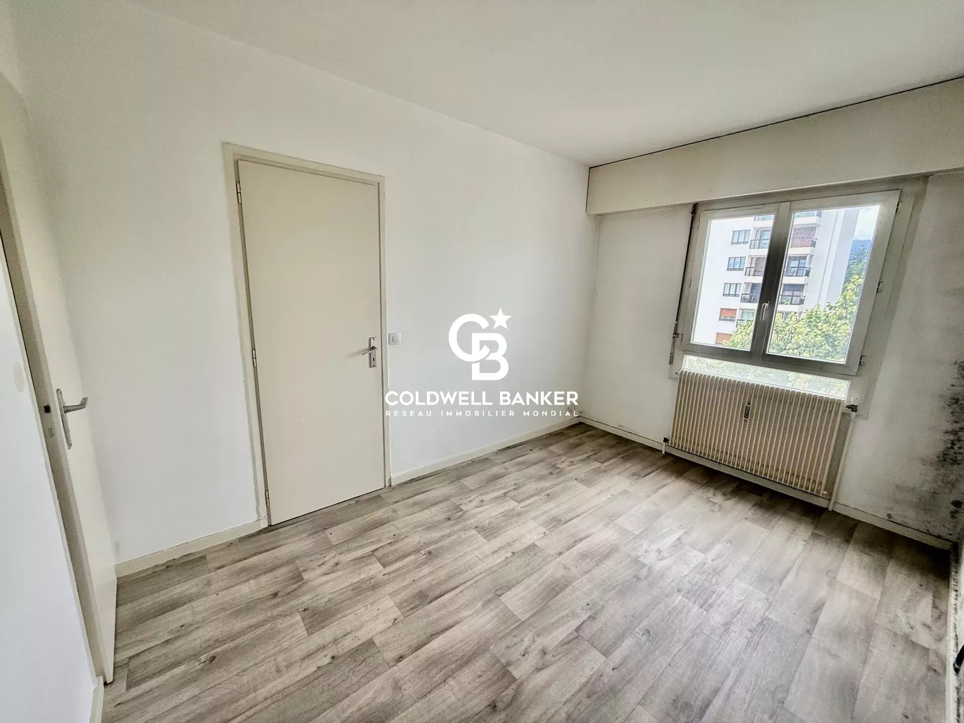 vente appartement FERNEY VOLTAIRE