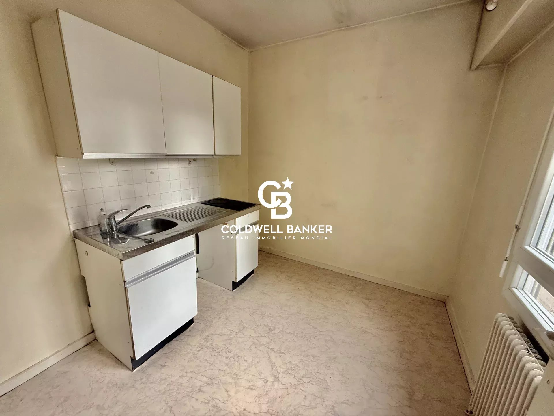 vente appartement FERNEY VOLTAIRE