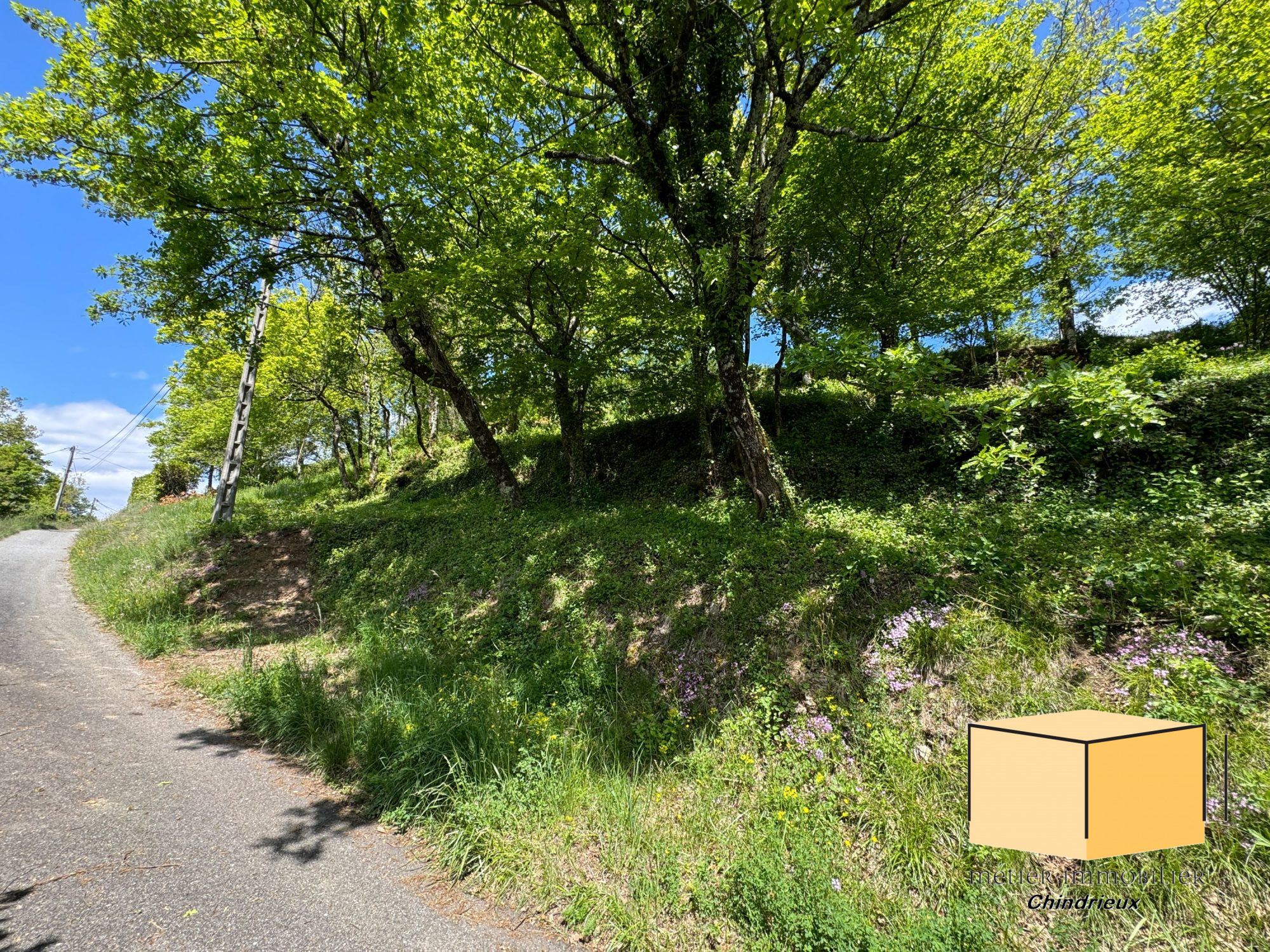 vente terrain CONJUX