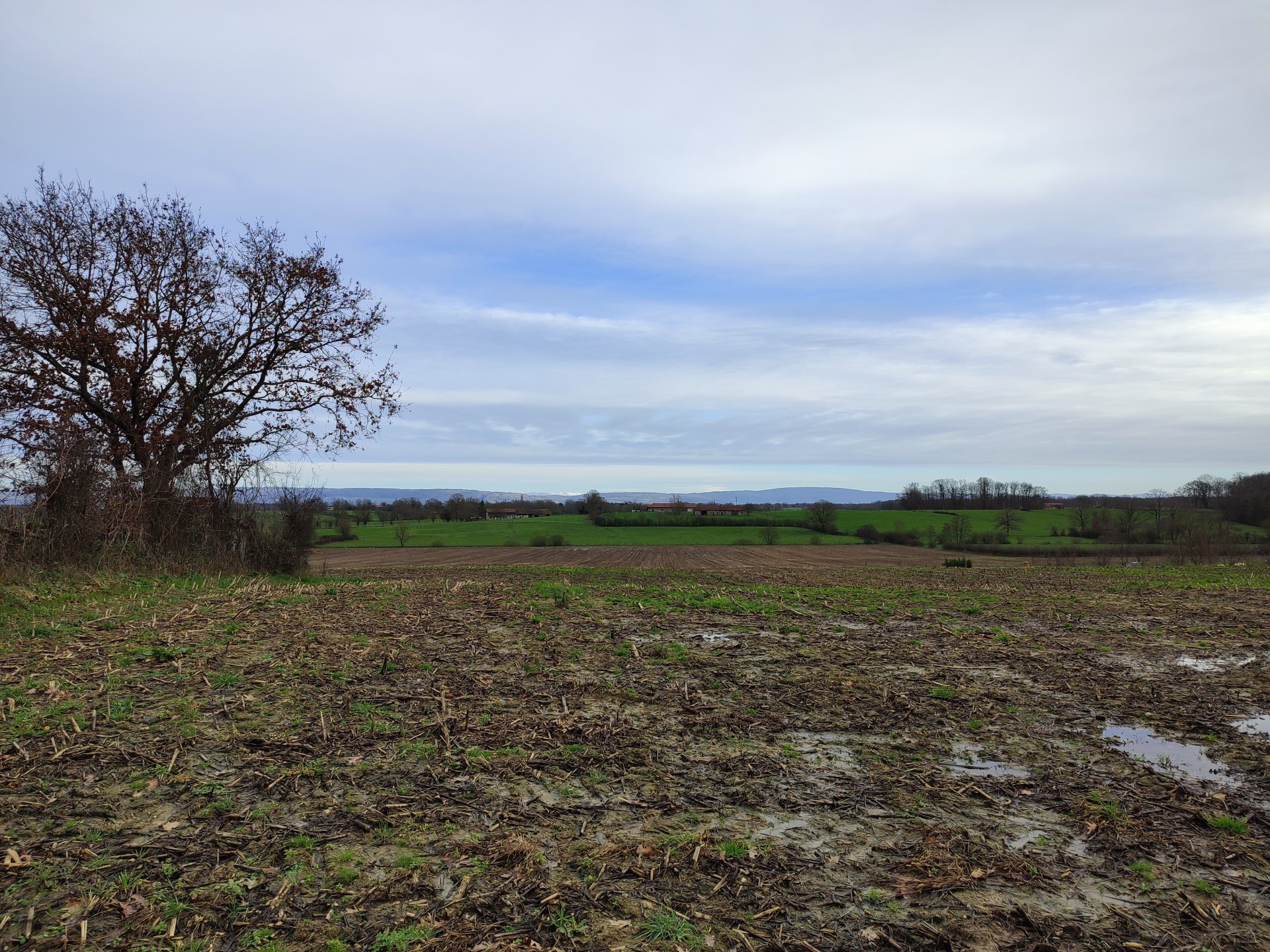 vente terrain LESCHEROUX