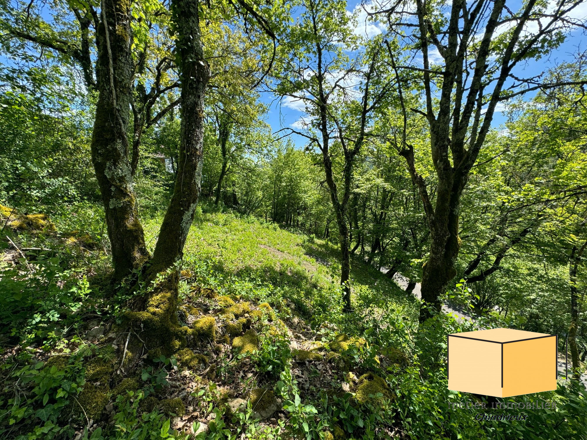 vente terrain CONJUX