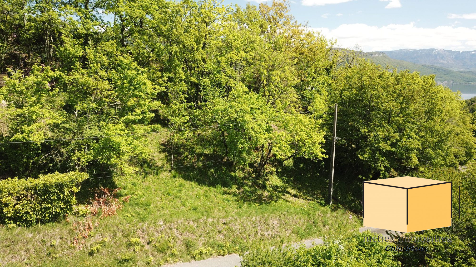 vente terrain CONJUX