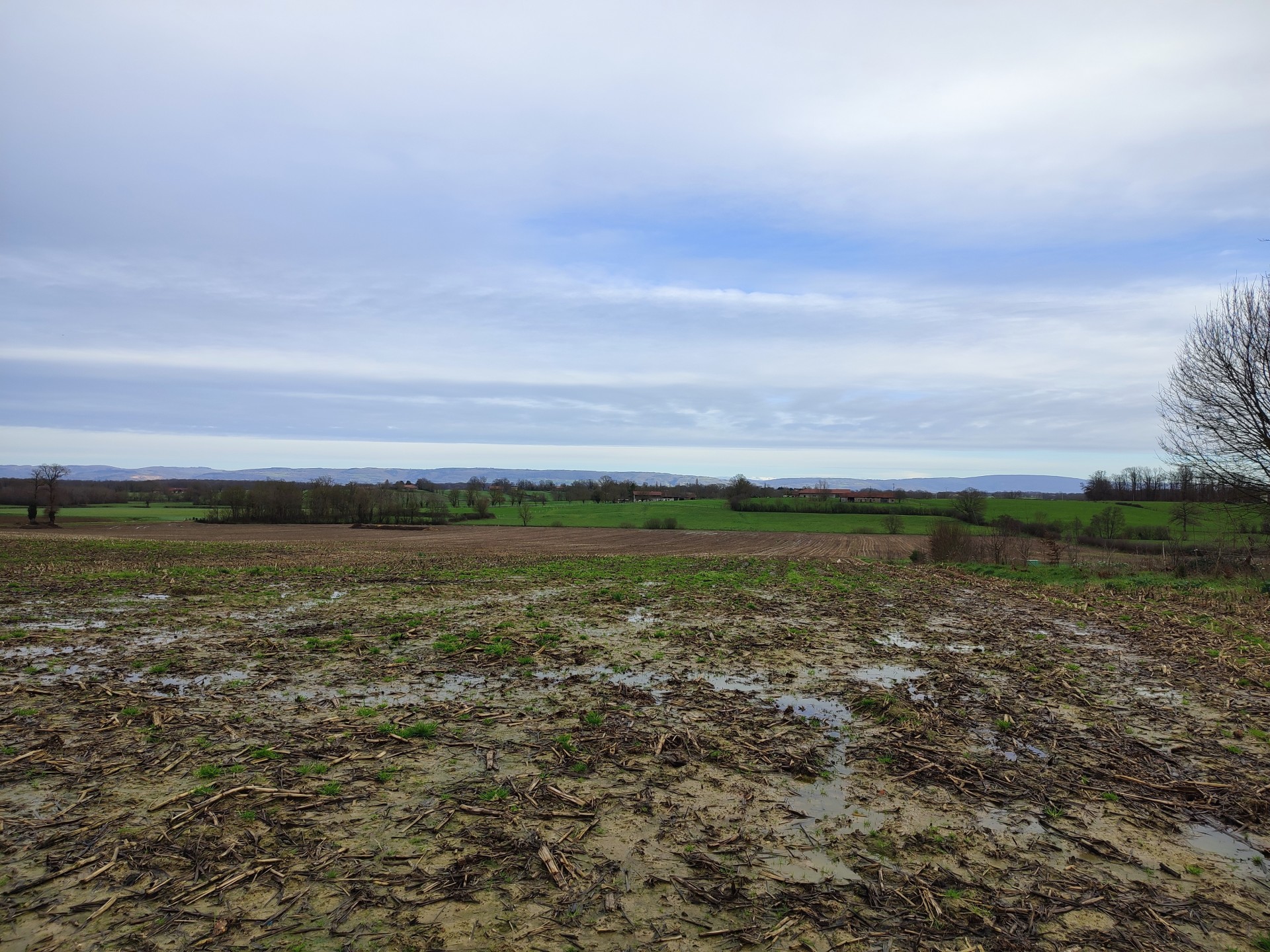 vente terrain LESCHEROUX