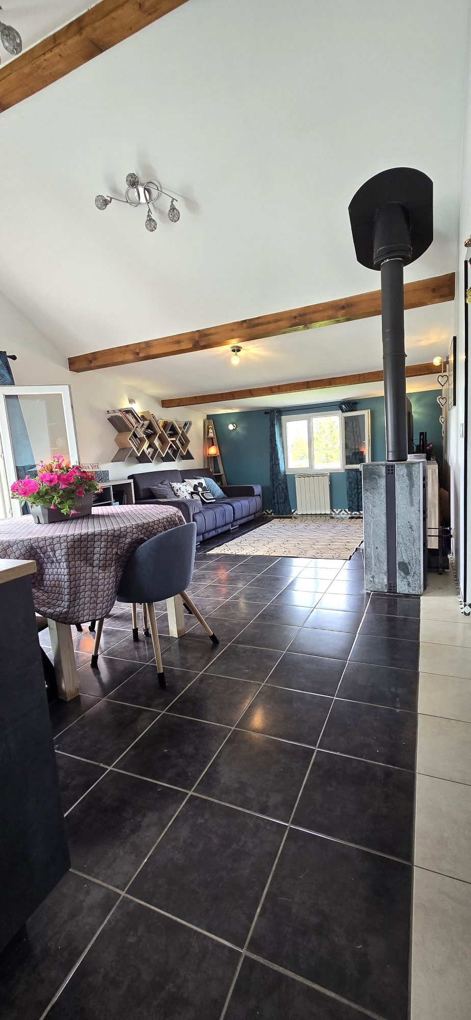 vente appartement POISY