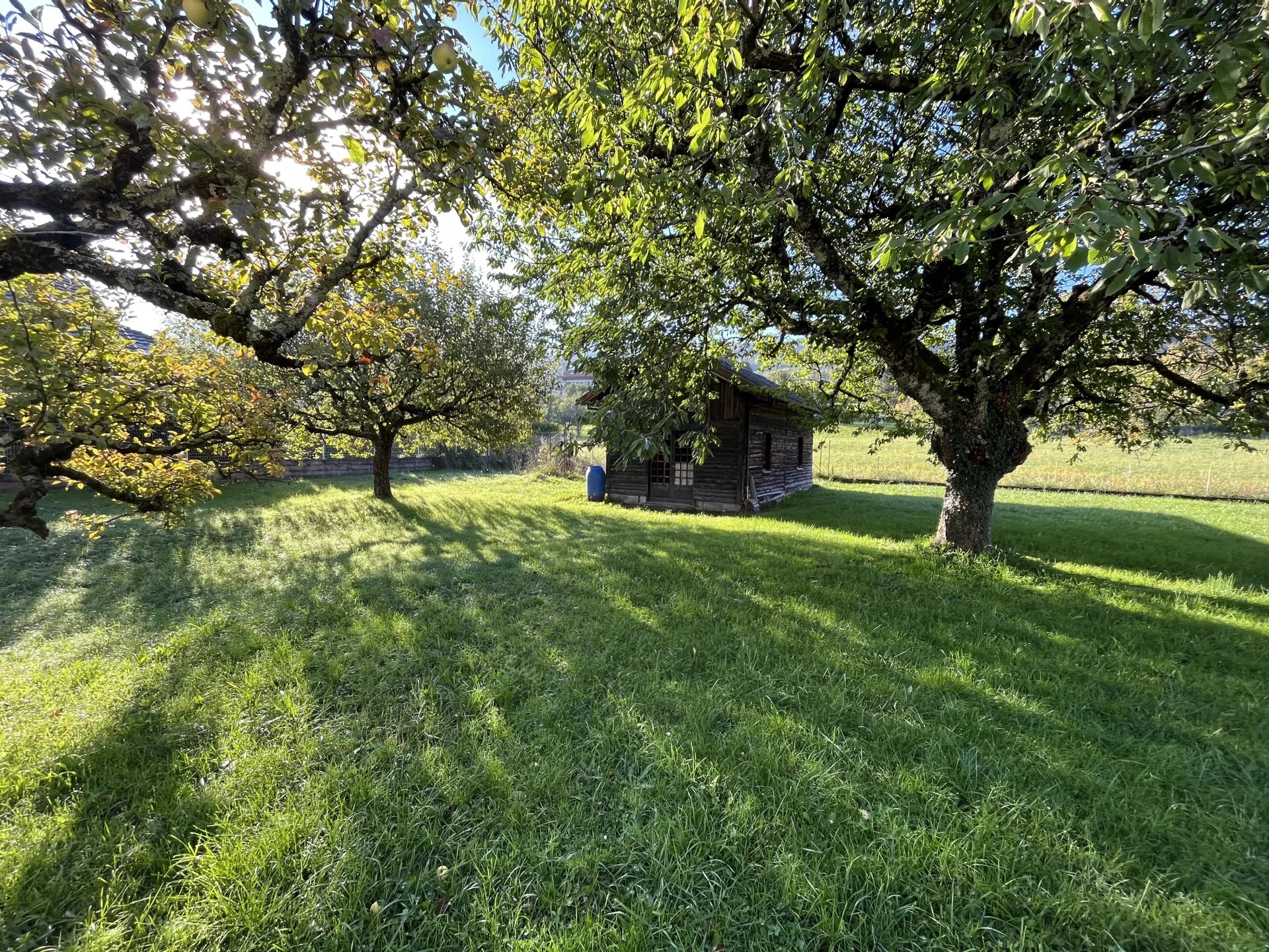 vente terrain NEUVECELLE