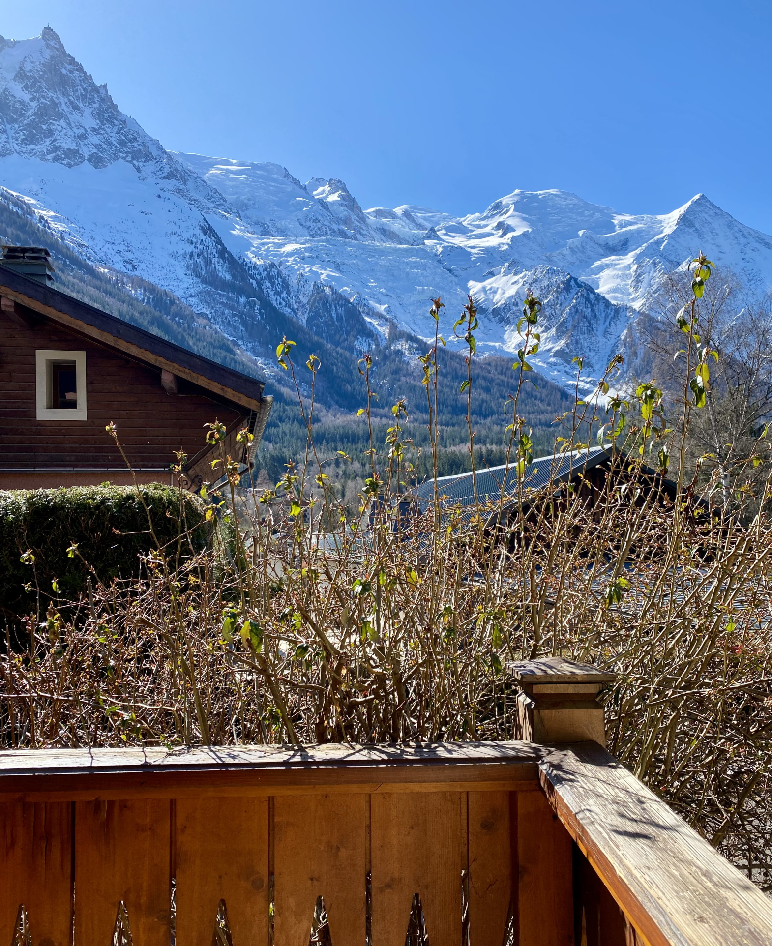 vente appartement CHAMONIX MONT BLANC