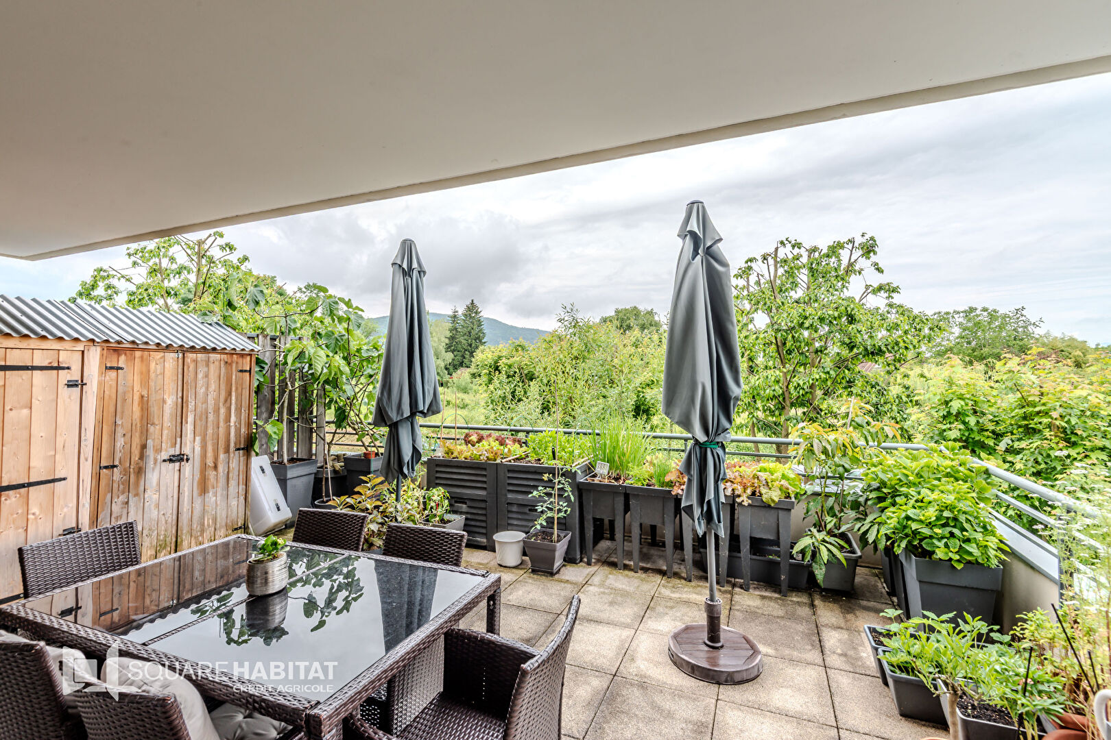 vente appartement 
