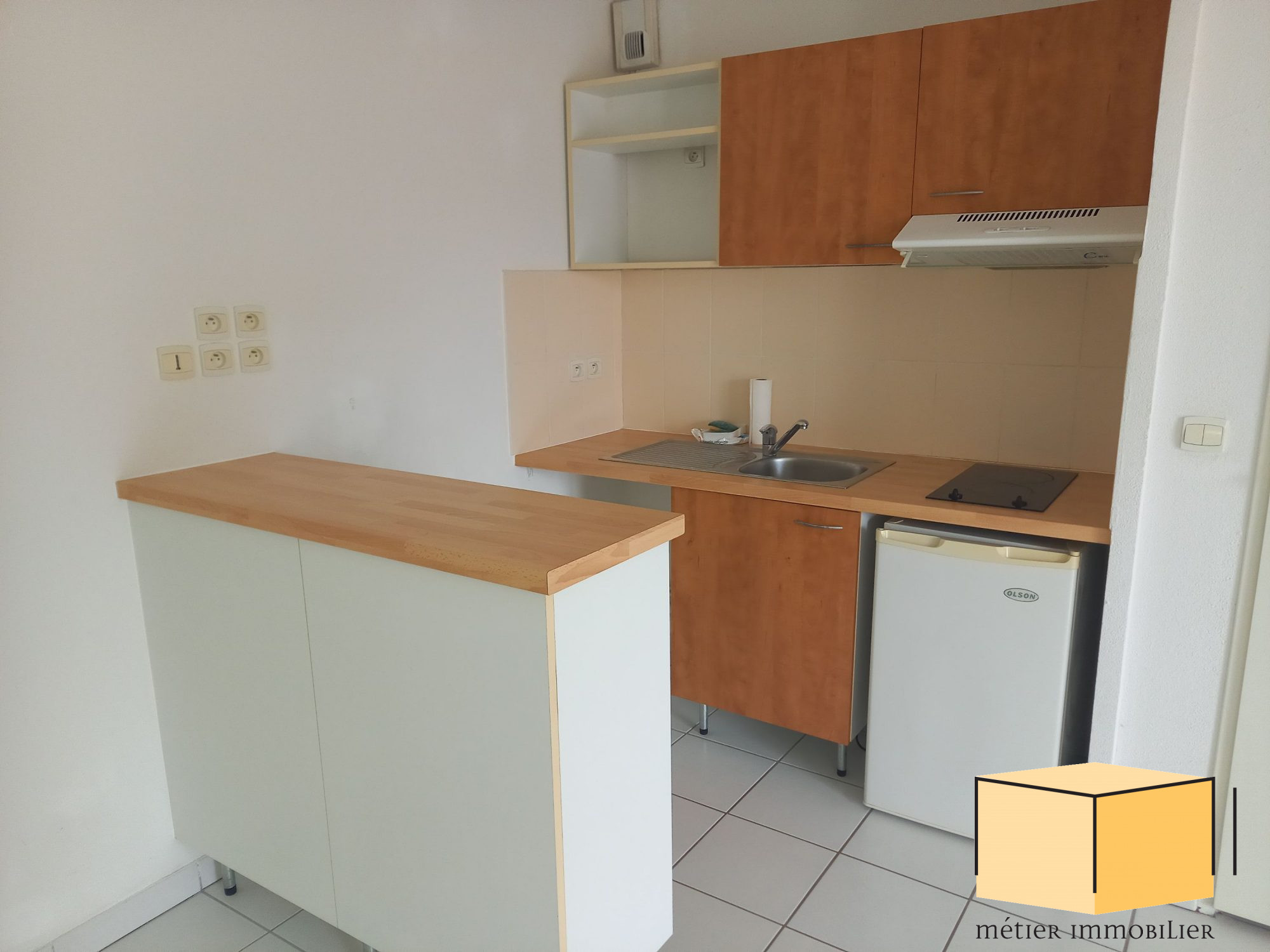 vente appartement BELLEY