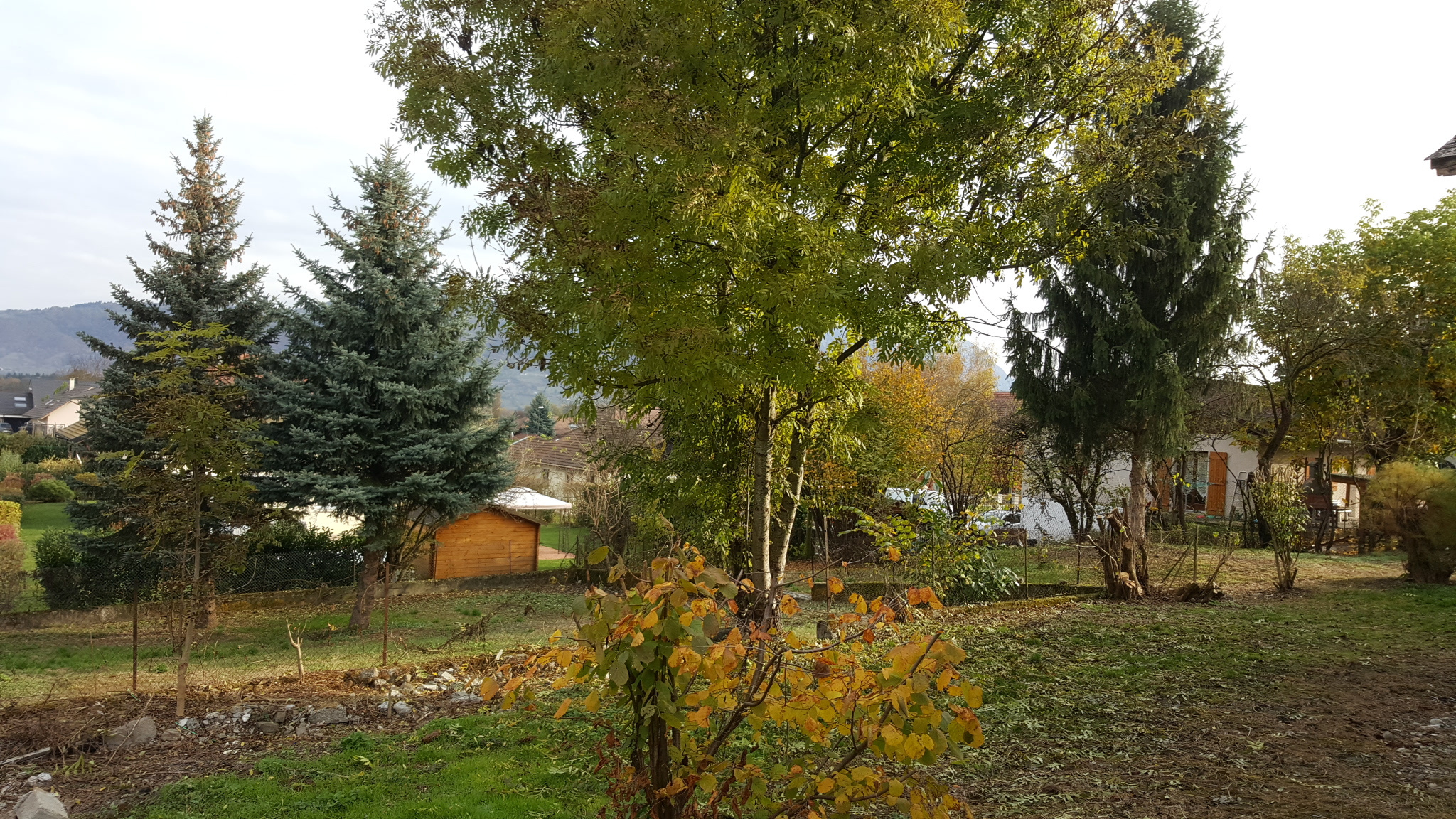 vente maison AMANCY