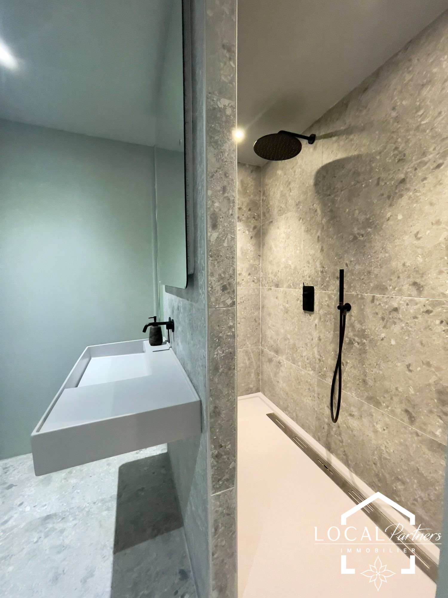 vente maison SAMOENS