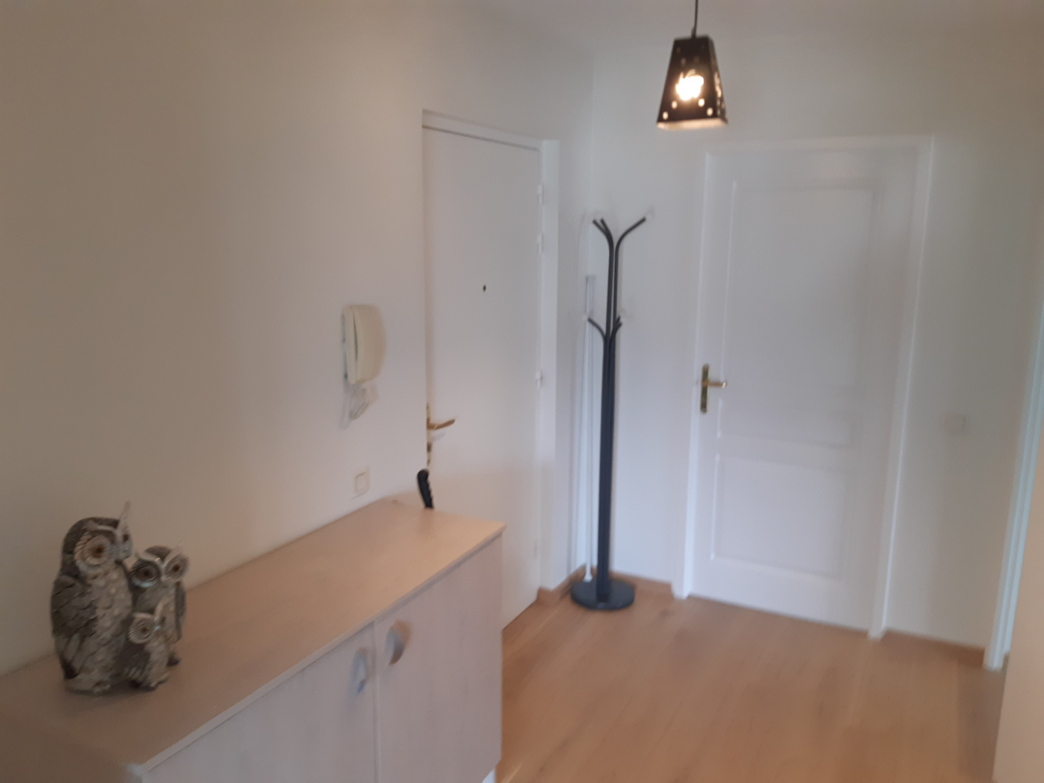 location appartement RUMILLY