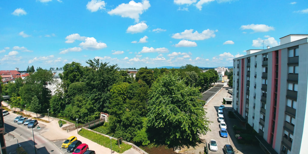 location appartement 