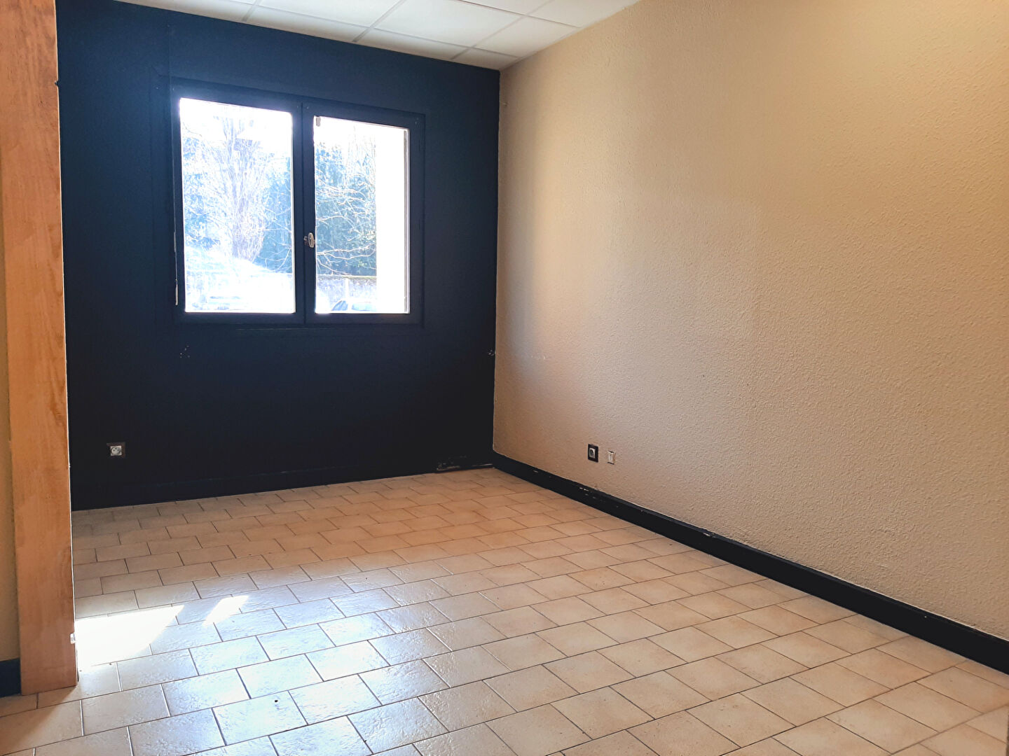 vente local-commercial 