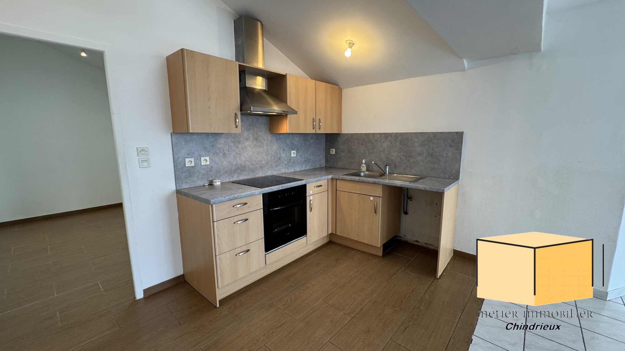 vente appartement CULOZ