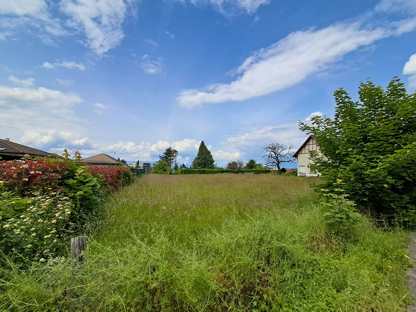 vente terrain 