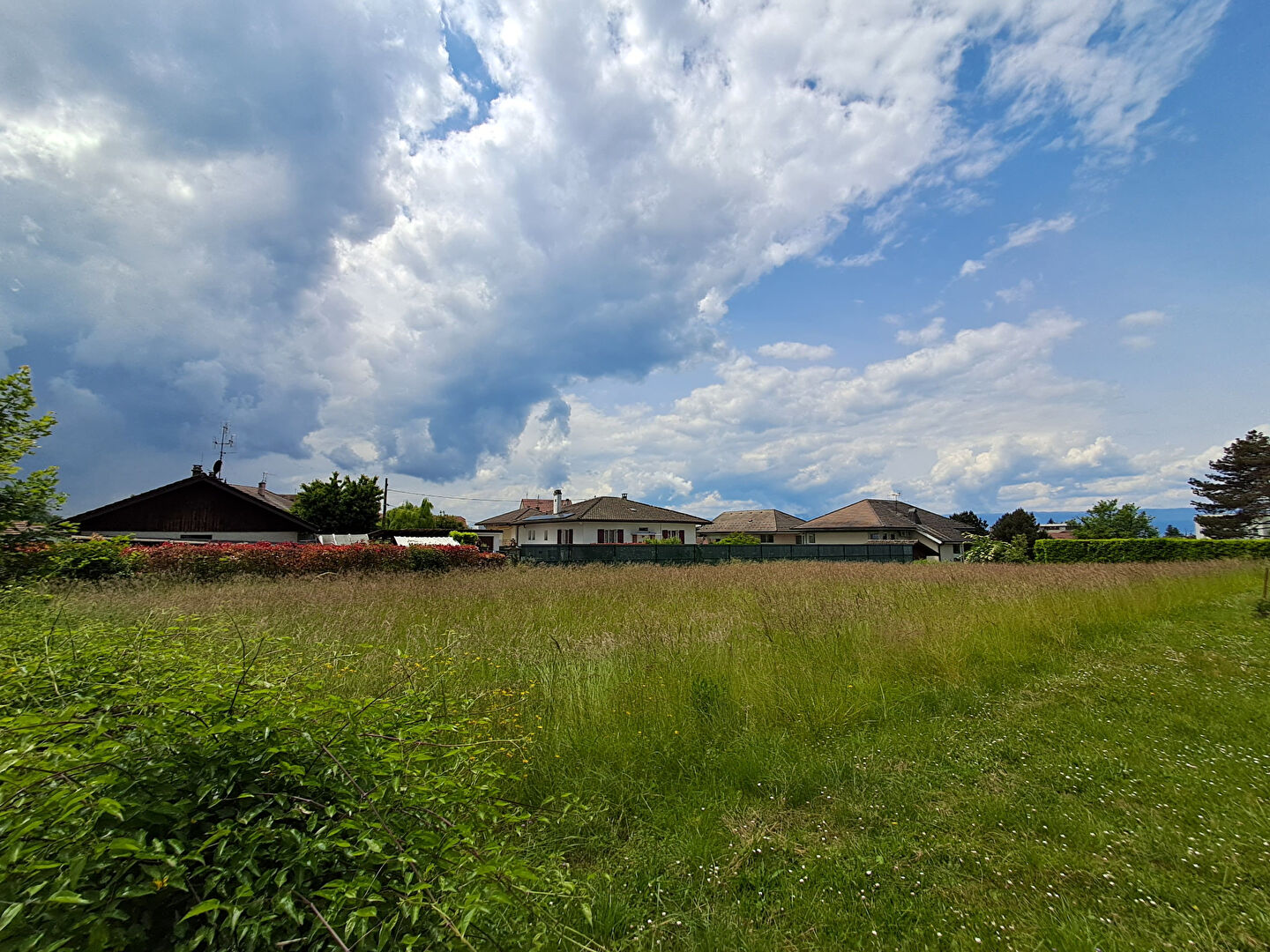 vente terrain 