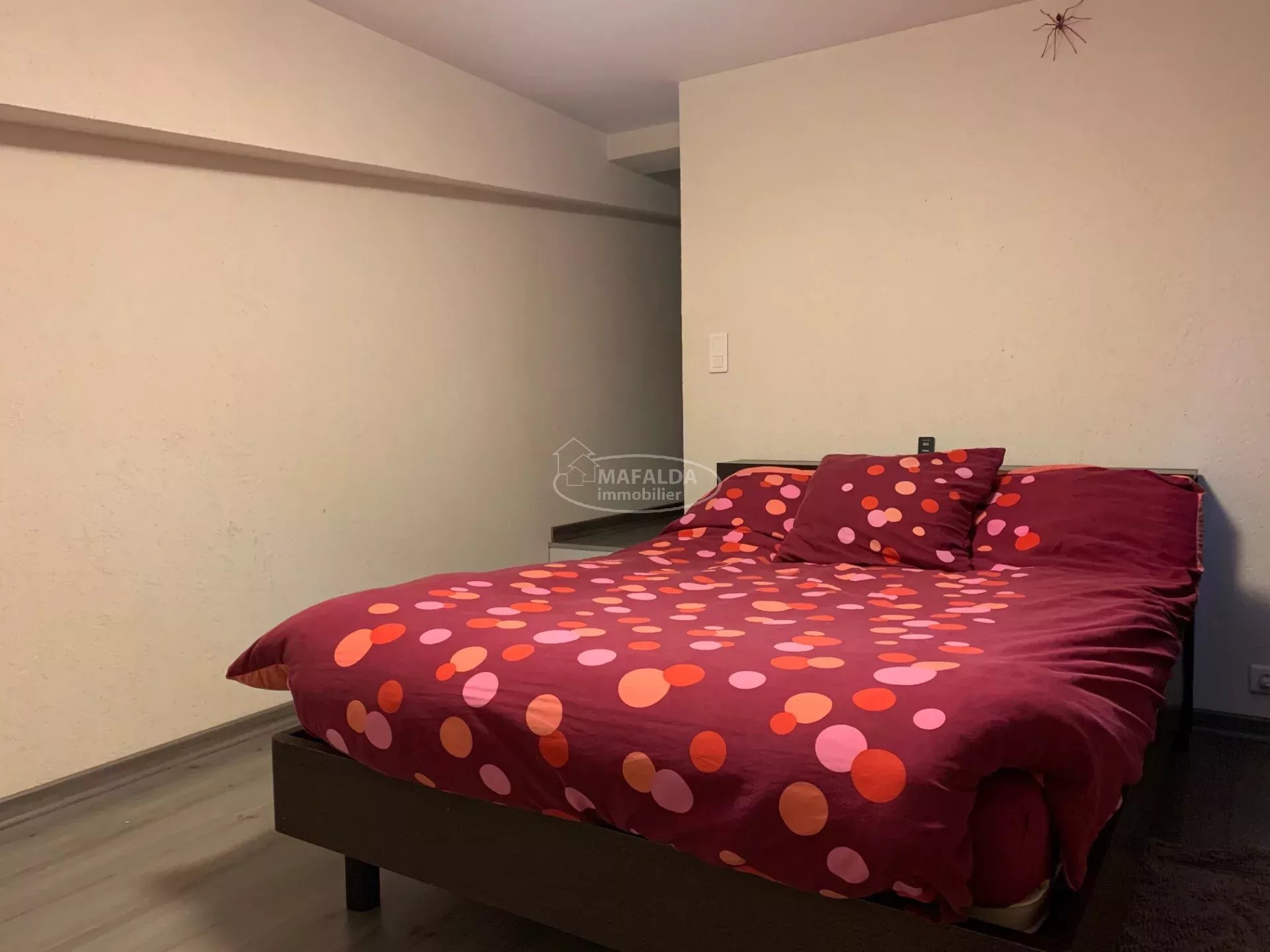 location appartement SCIONZIER