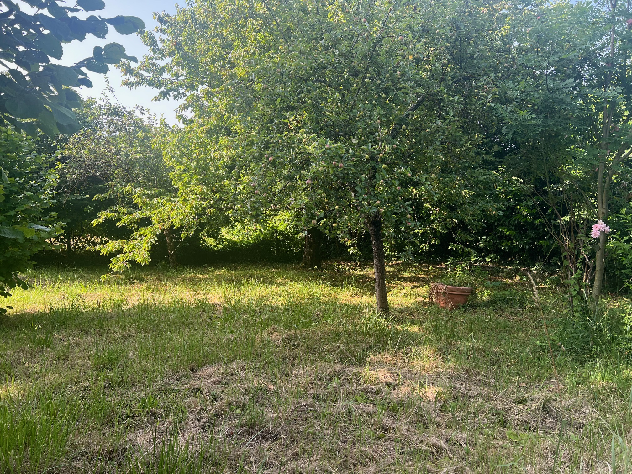 vente maison ST PIERRE D ALBIGNY