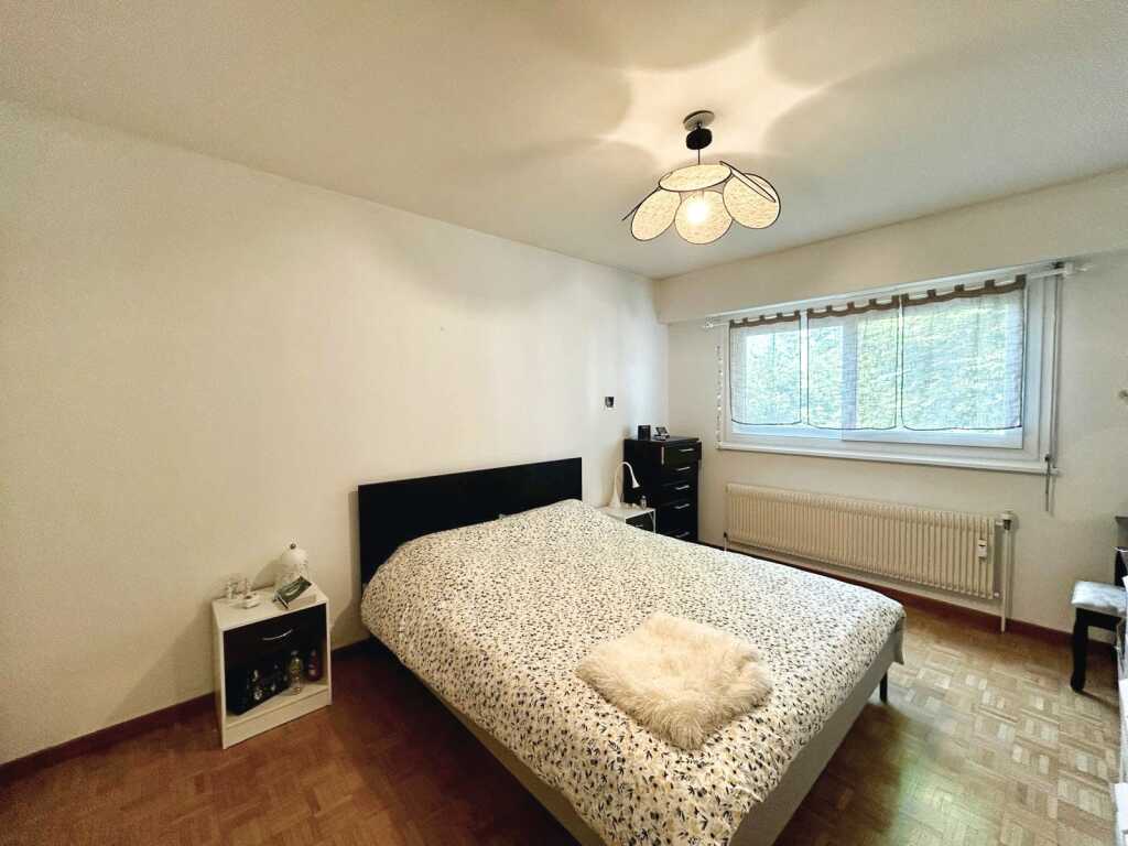 location appartement LA ROCHE SUR FORON
