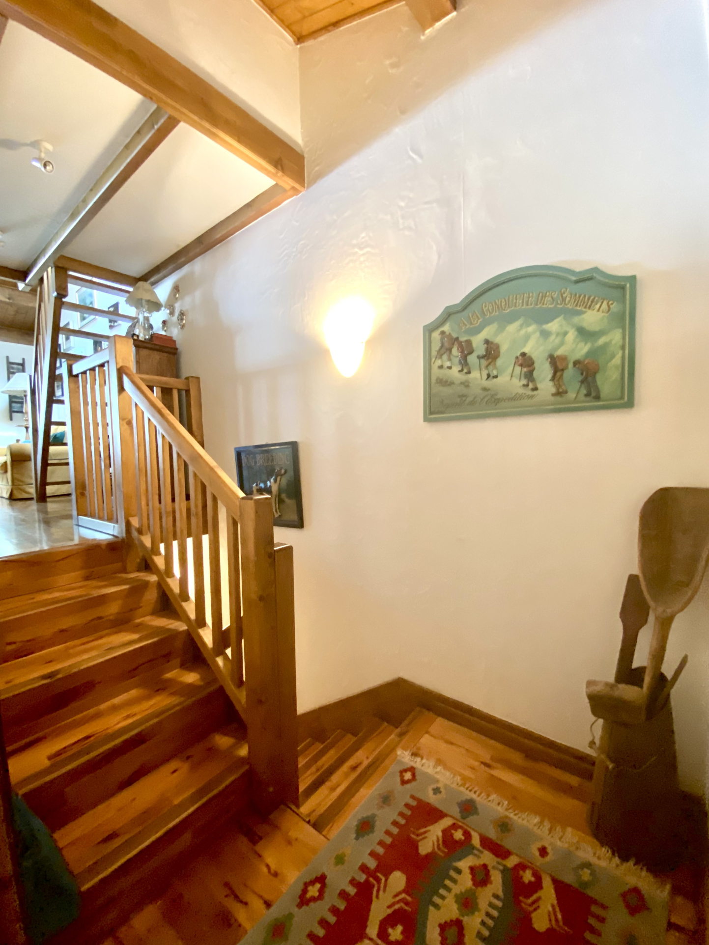 vente maison CHAMONIX MONT BLANC